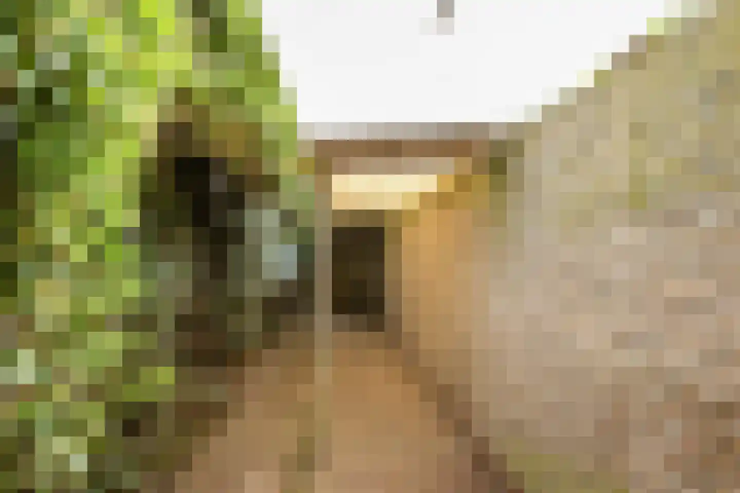 Gareelstraat 10 Ulvenhout thumbnail 46