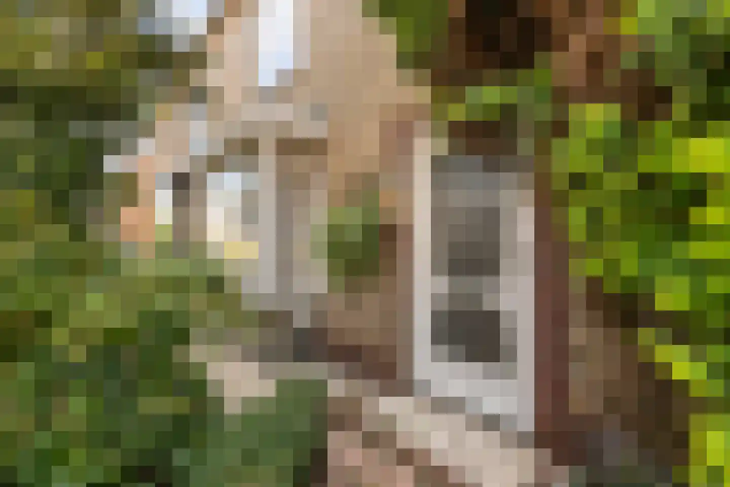 Gareelstraat 10 Ulvenhout thumbnail 9