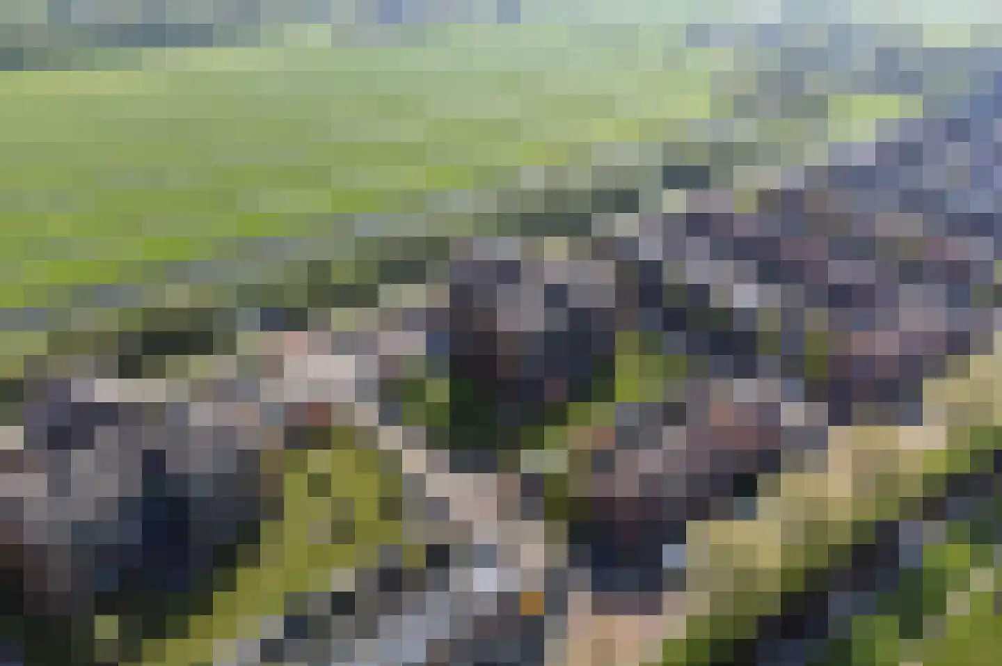 Garen 18 Oudewater thumbnail 31