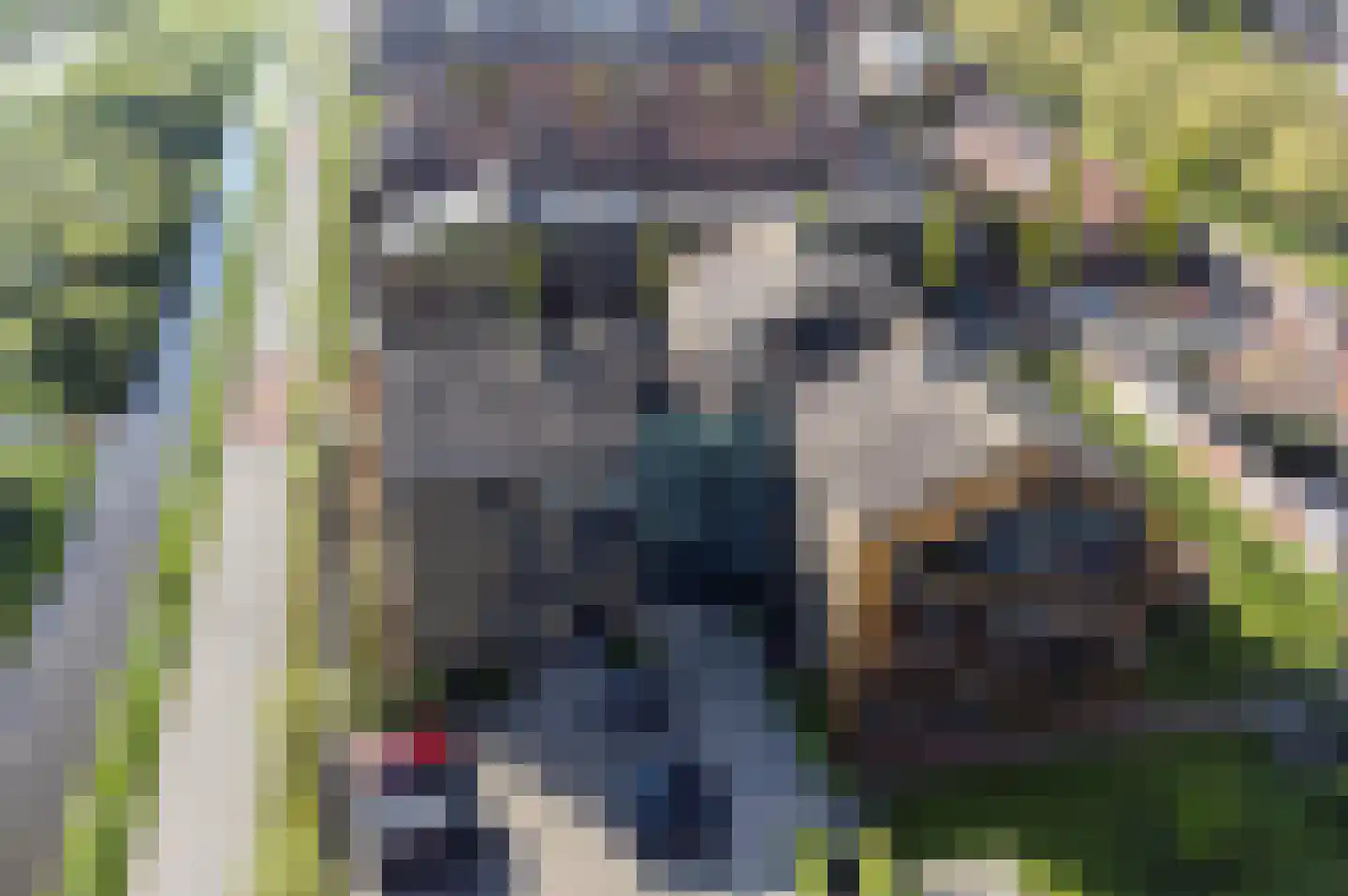 Garen 18 Oudewater thumbnail 32