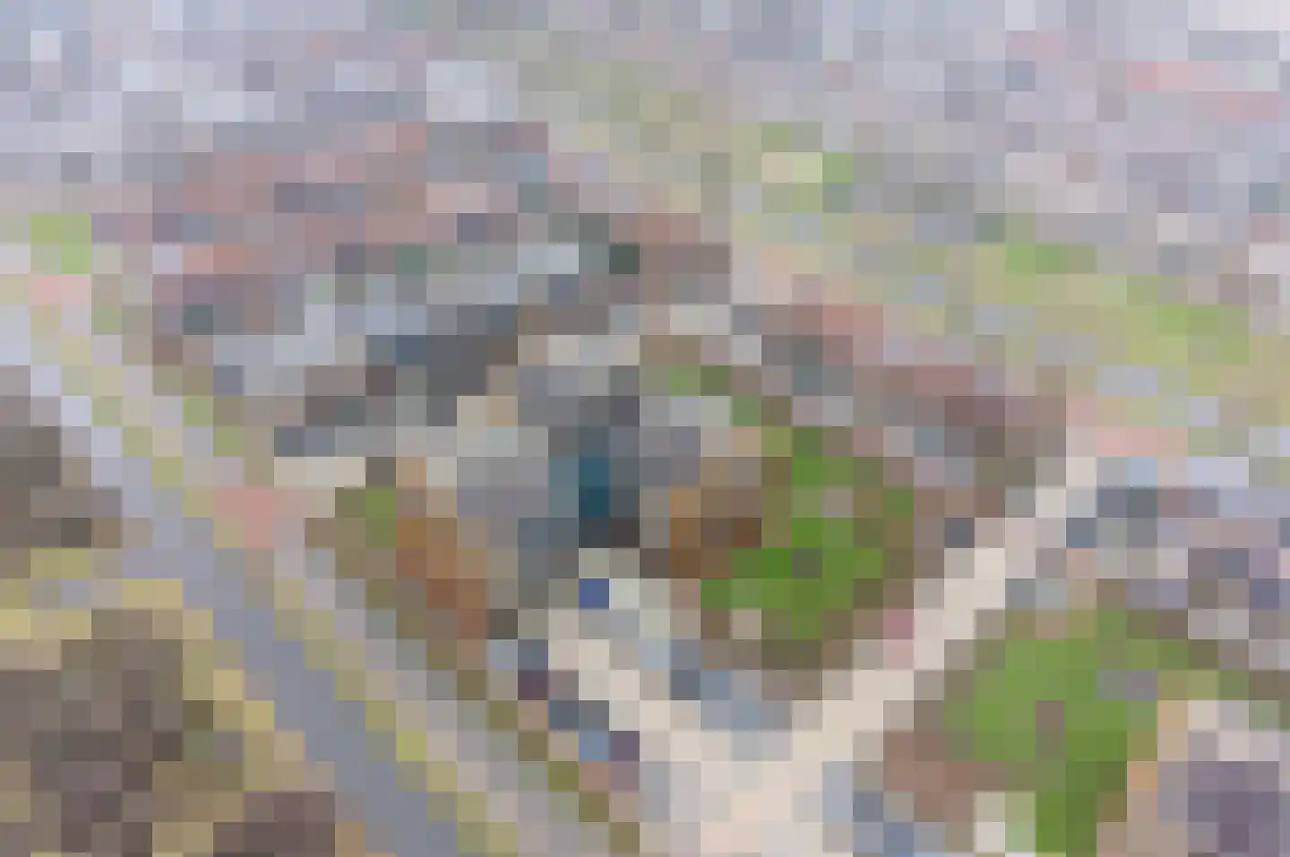 Garen 20 Oudewater thumbnail 30