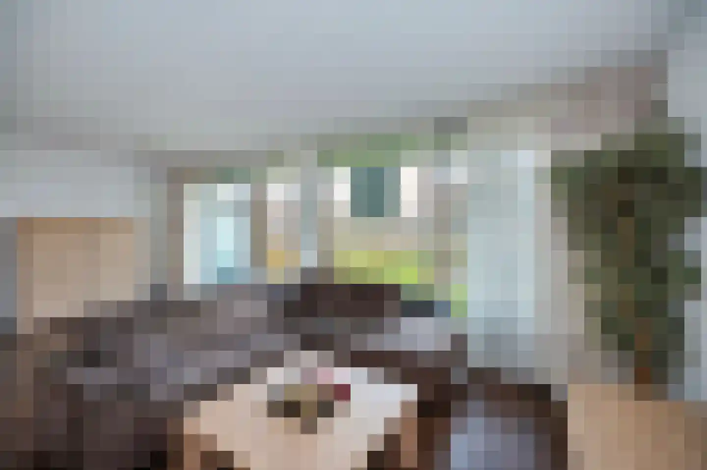 Garen 20 Oudewater thumbnail 9