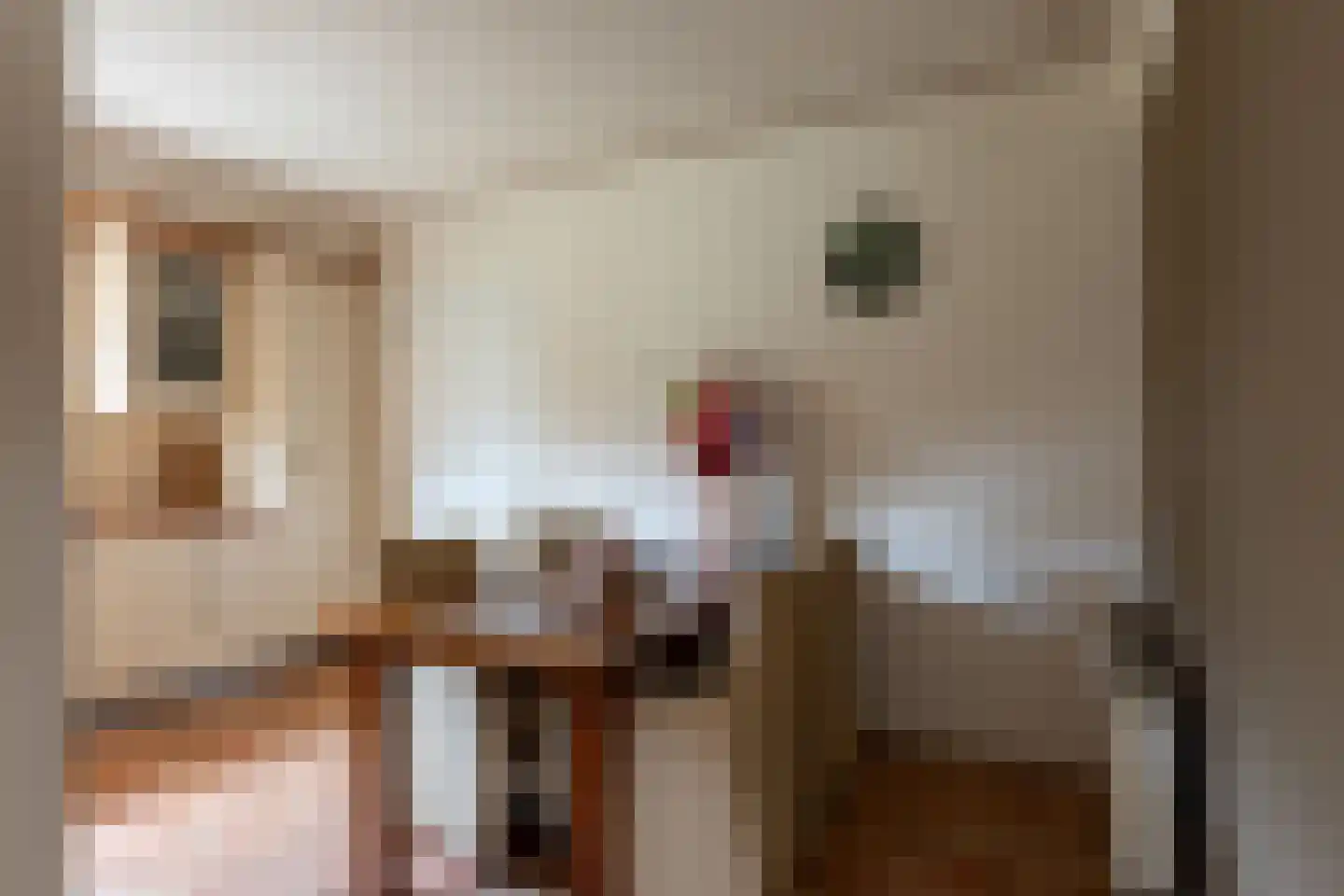 Garenbleek 3 Waalre thumbnail 10
