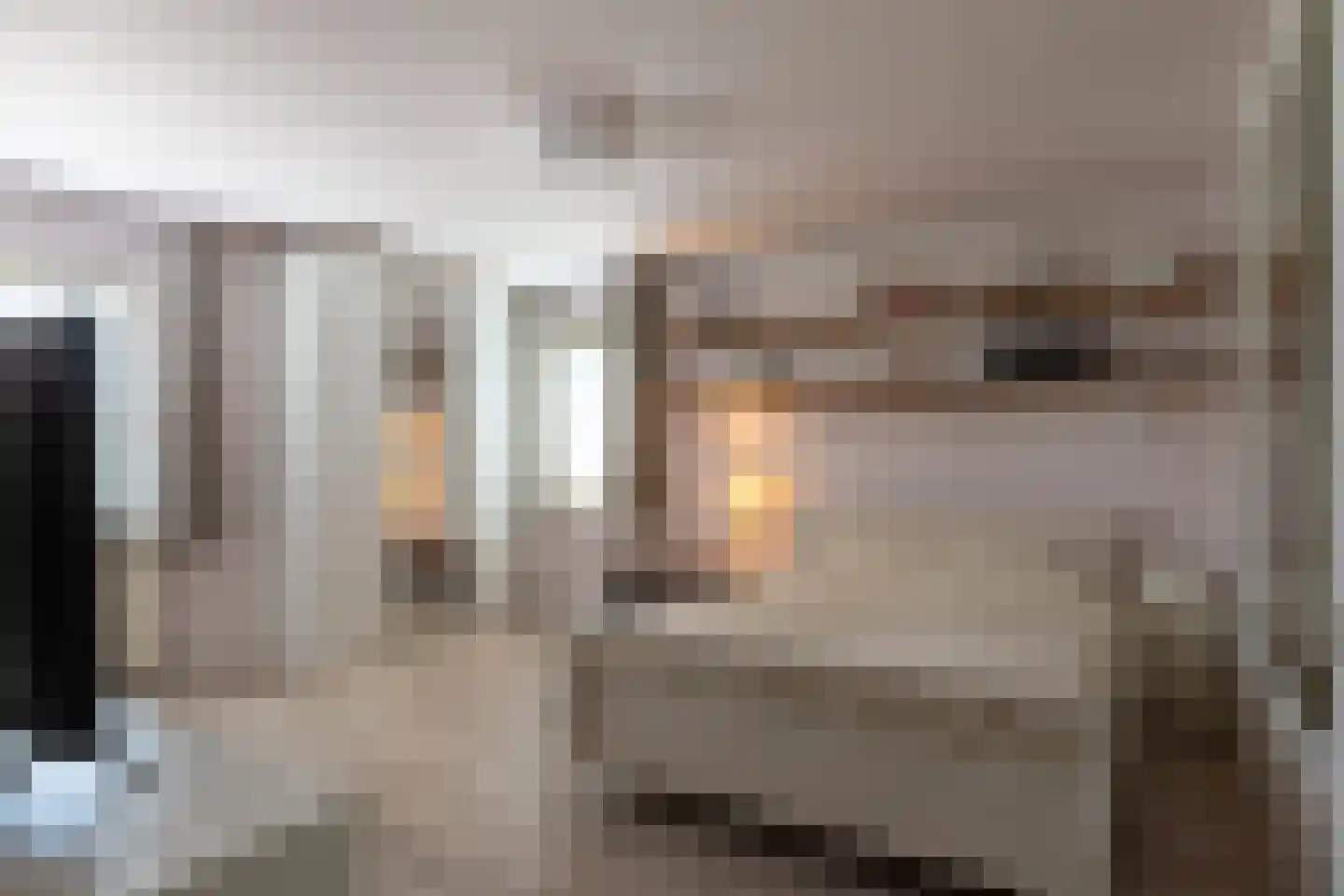 Garenbleek 3 Waalre thumbnail 28