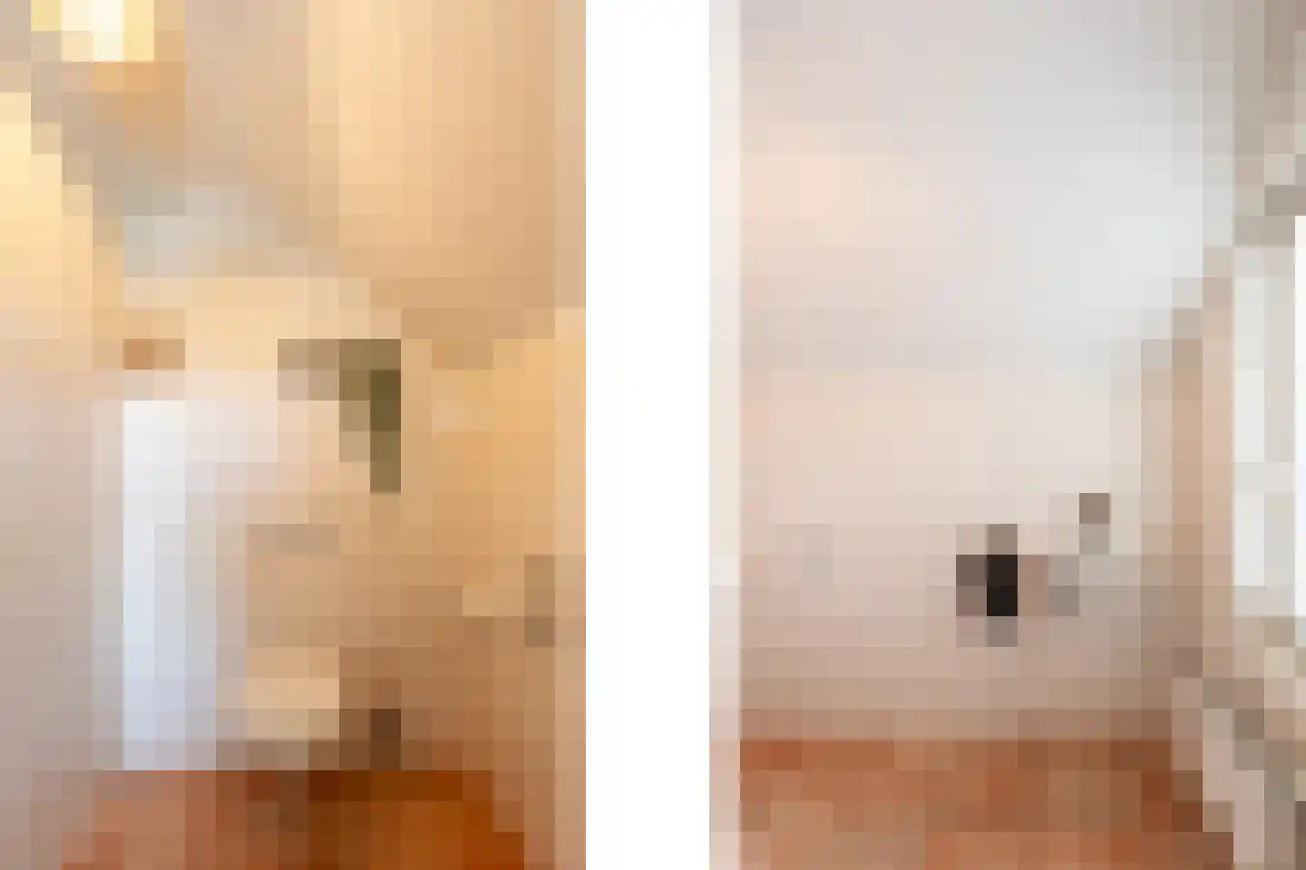 Garenbleek 3 Waalre thumbnail 37
