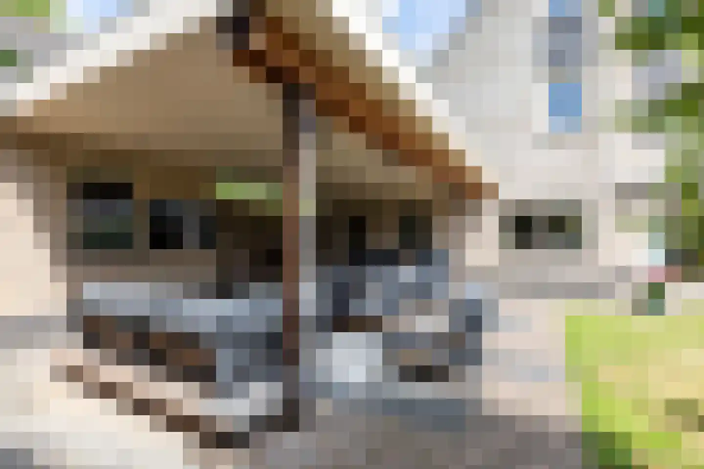 Garenbleek 3 Waalre thumbnail 49