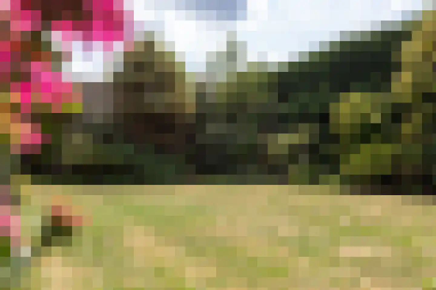 Garenbleek 3 Waalre thumbnail 51