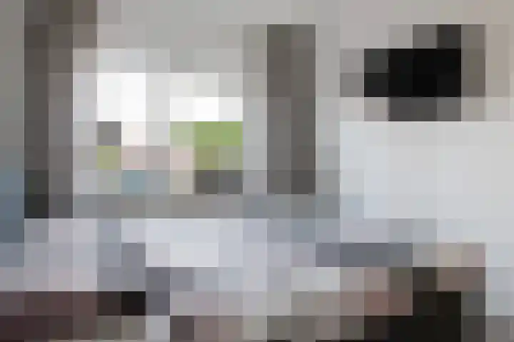 Garenboom 43 Almelo thumbnail 17