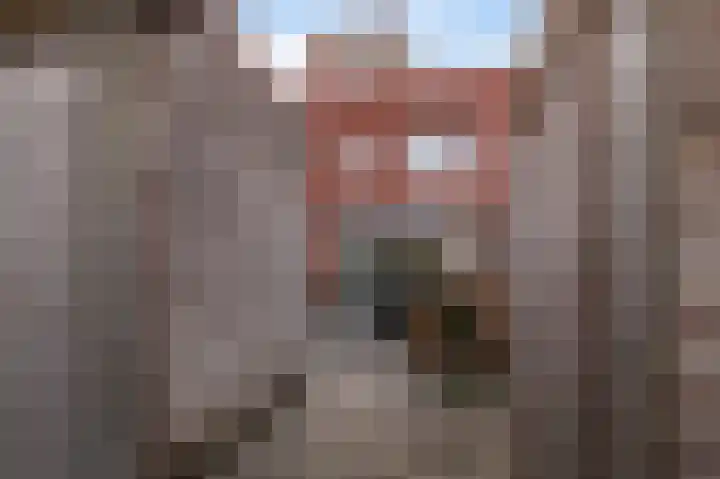 Garenboom 43 Almelo thumbnail 35