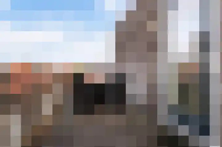 Garenboom 43 Almelo thumbnail 4
