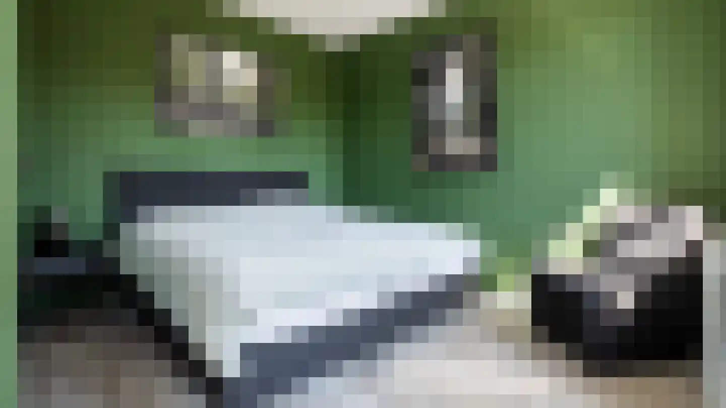 Garenboom 49 Almelo thumbnail 13