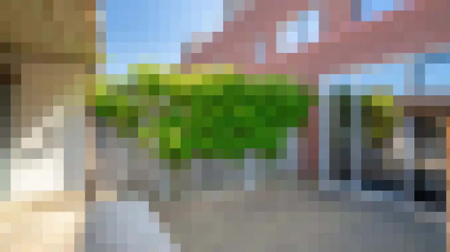 Garenboom 49 Almelo thumbnail 29