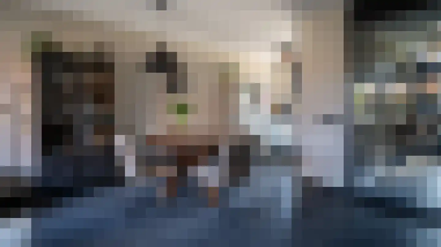 Garenboom 49 Almelo thumbnail 6