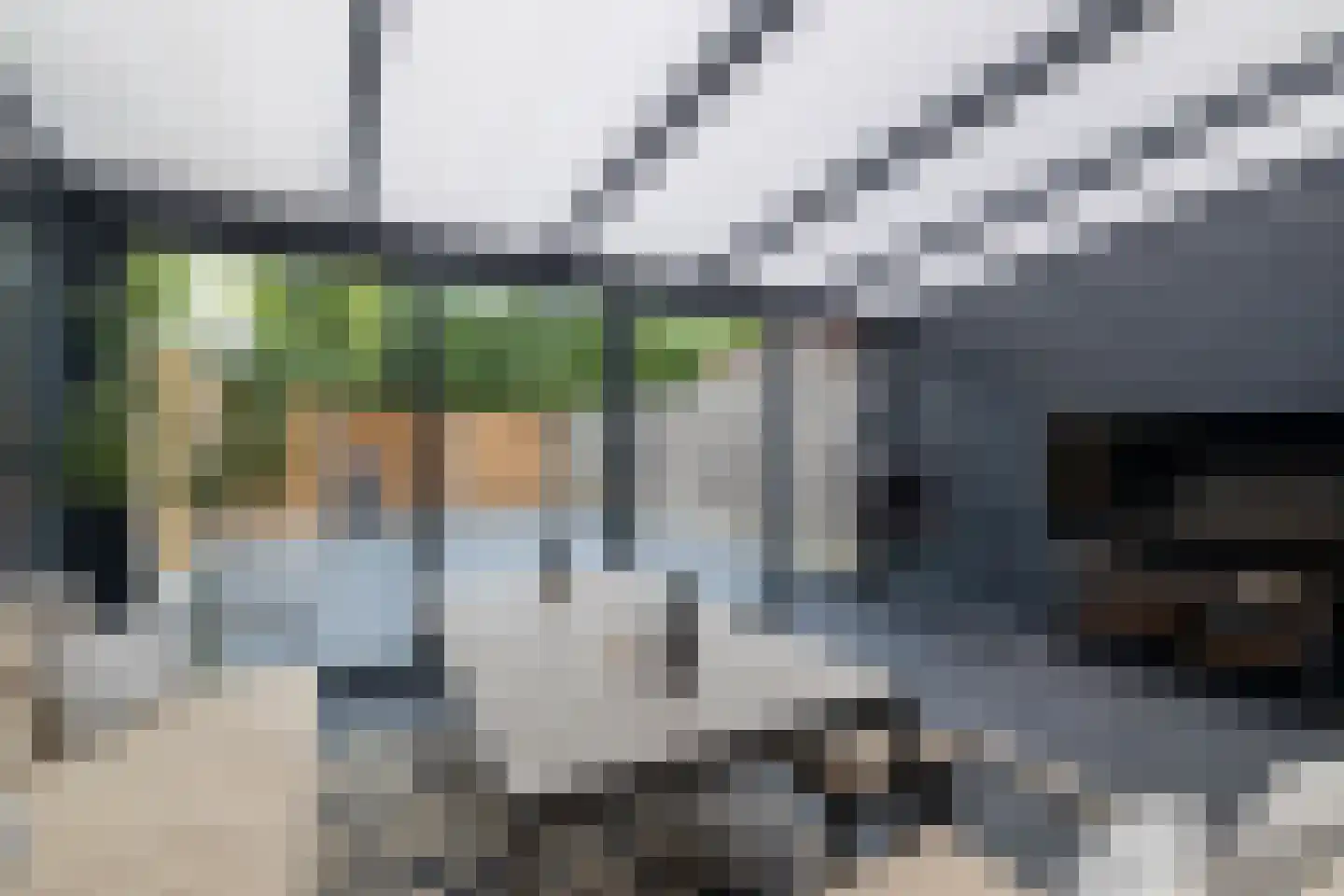 Garenboom 67 Almelo thumbnail 25