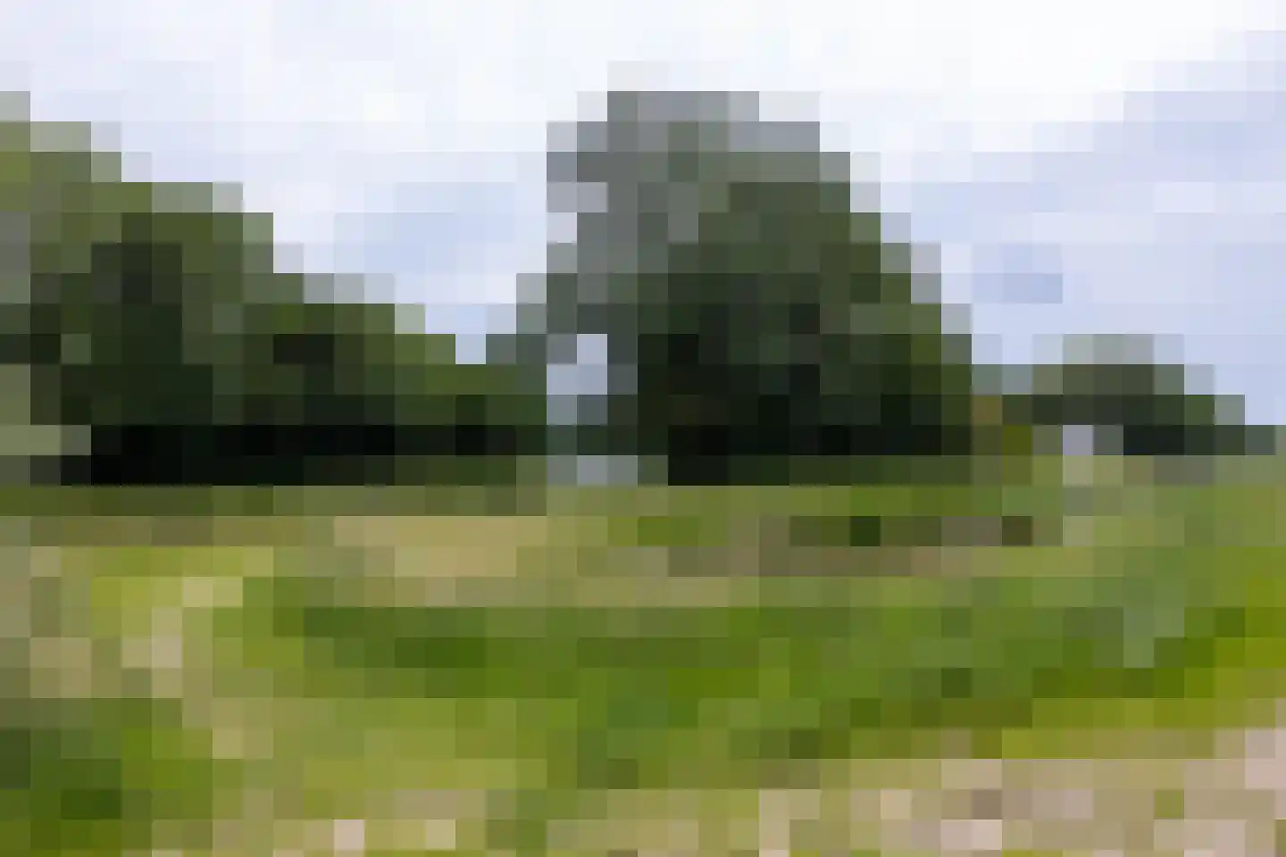 Garenboom 67 Almelo thumbnail 29