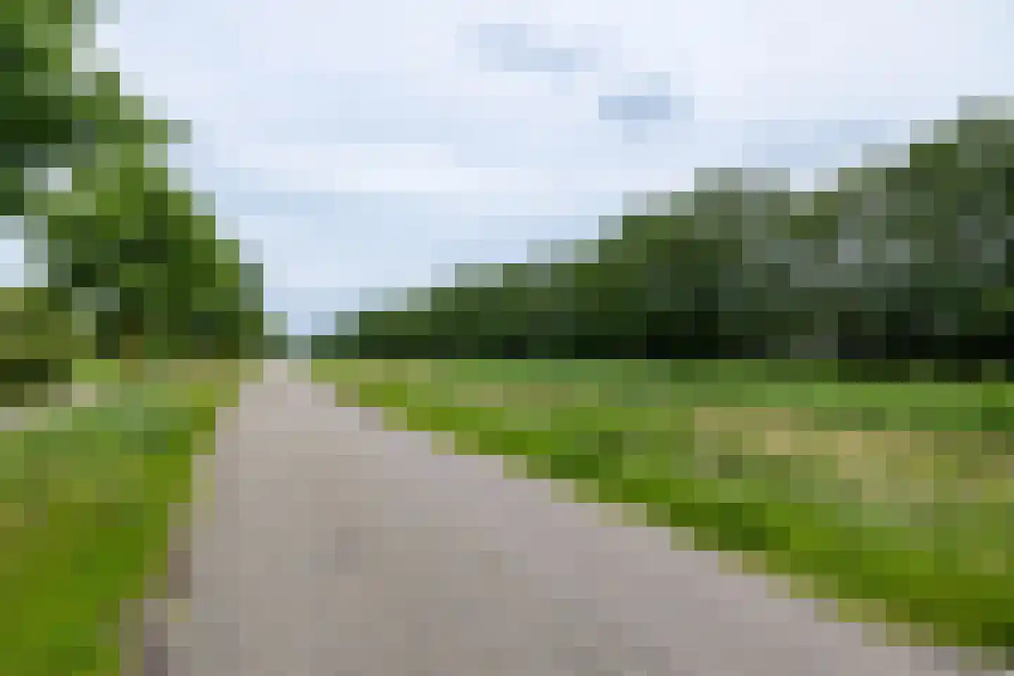 Garenboom 67 Almelo thumbnail 30