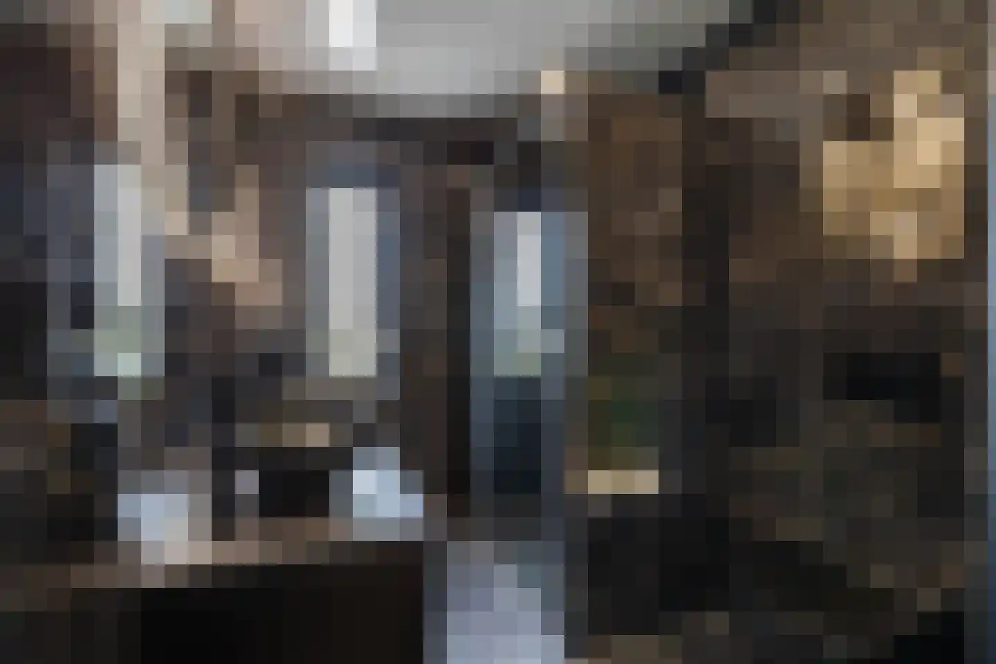 Garenboom 67 Almelo thumbnail 4