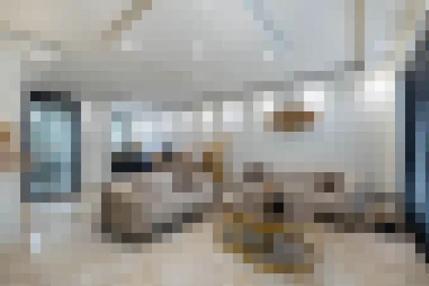 Garenboom 67 Almelo thumbnail 7