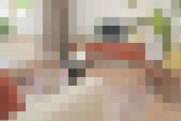 Garenkokerskade 26 Haarlem thumbnail 20