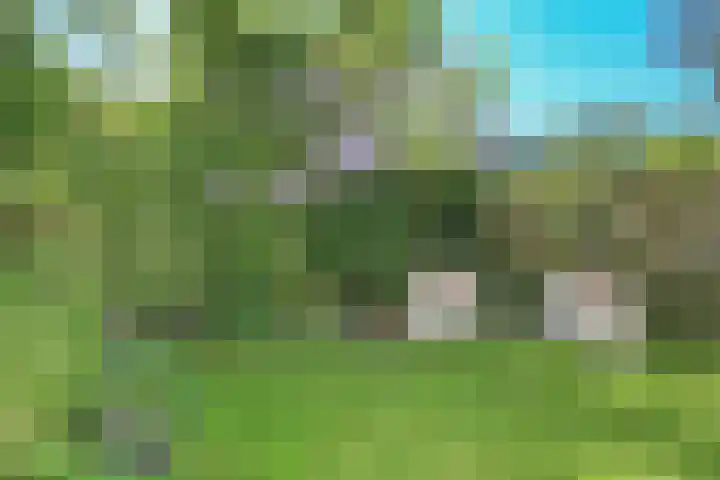 Garenkokerskade 26 Haarlem thumbnail 28