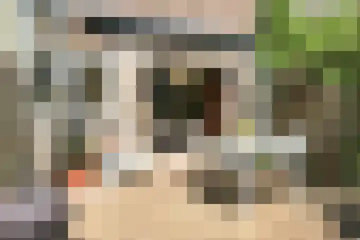 Garenkokerskade 26 Haarlem thumbnail 29
