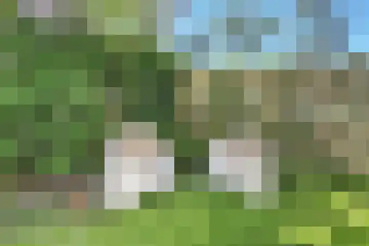 Garenkokerskade 26 Haarlem thumbnail 31