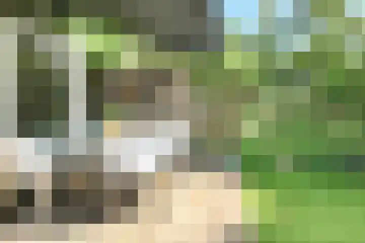 Garenkokerskade 26 Haarlem thumbnail 32