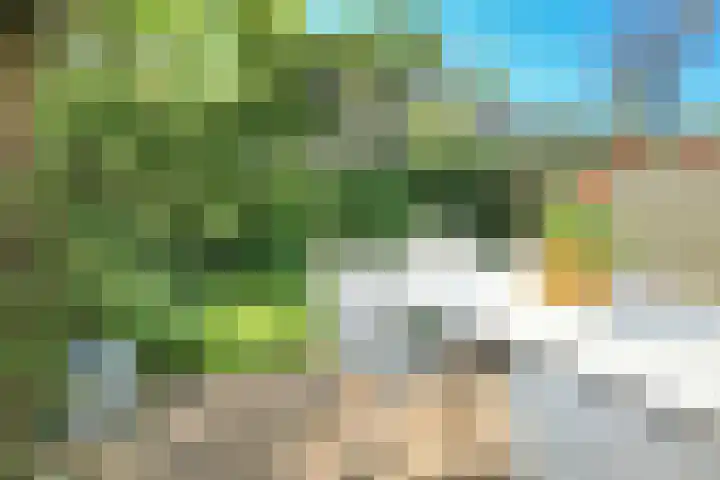 Garenkokerskade 26 Haarlem thumbnail 33