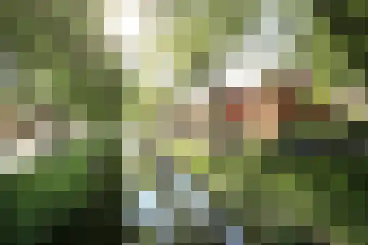 Garenkokerskade 26 Haarlem thumbnail 4