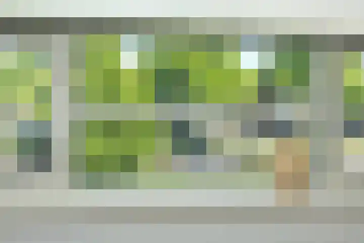 Garenkokerskade 26 Haarlem thumbnail 42