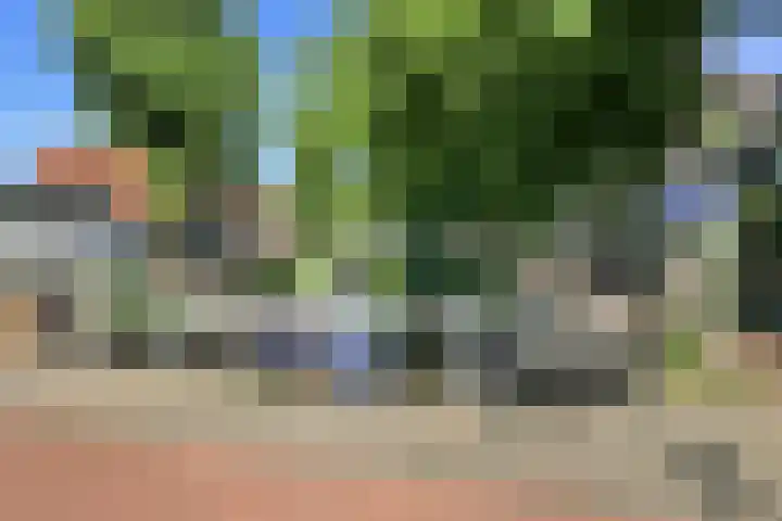 Garenkokerskade 26 Haarlem thumbnail 64