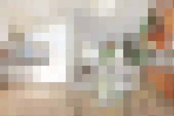 Garenkokerskade 26 Haarlem thumbnail 7
