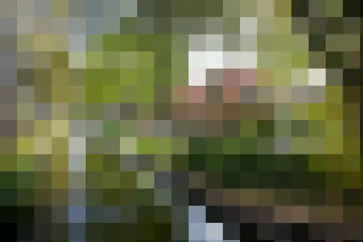 Garenkokerskade 26 Haarlem thumbnail 73
