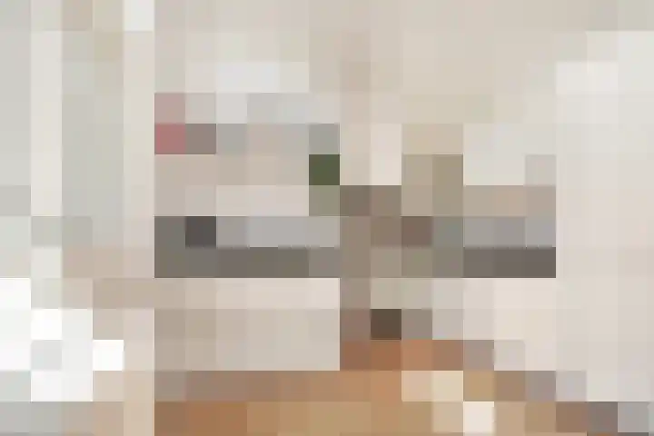 Garenkokerskade 26 Haarlem thumbnail 9