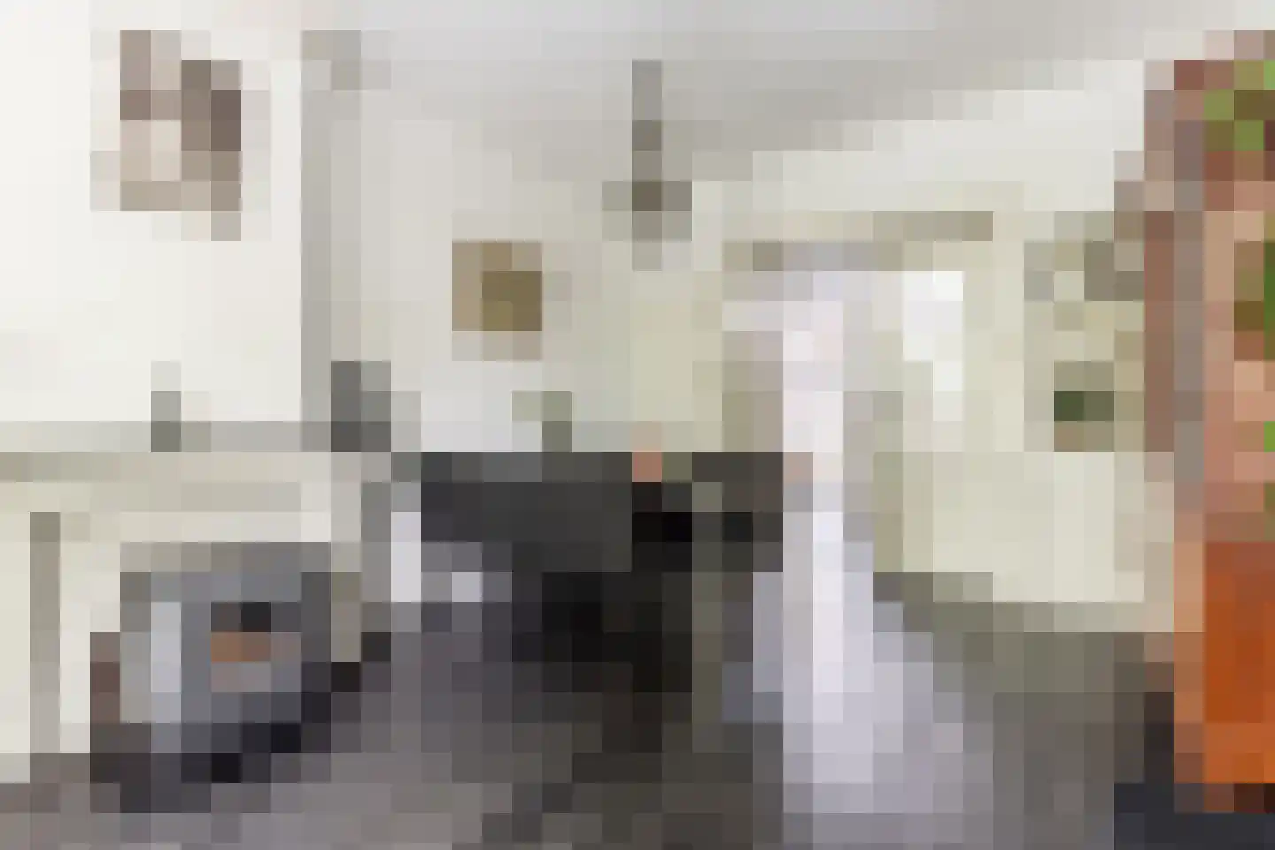 Garenkokerskade 3 Haarlem thumbnail 10