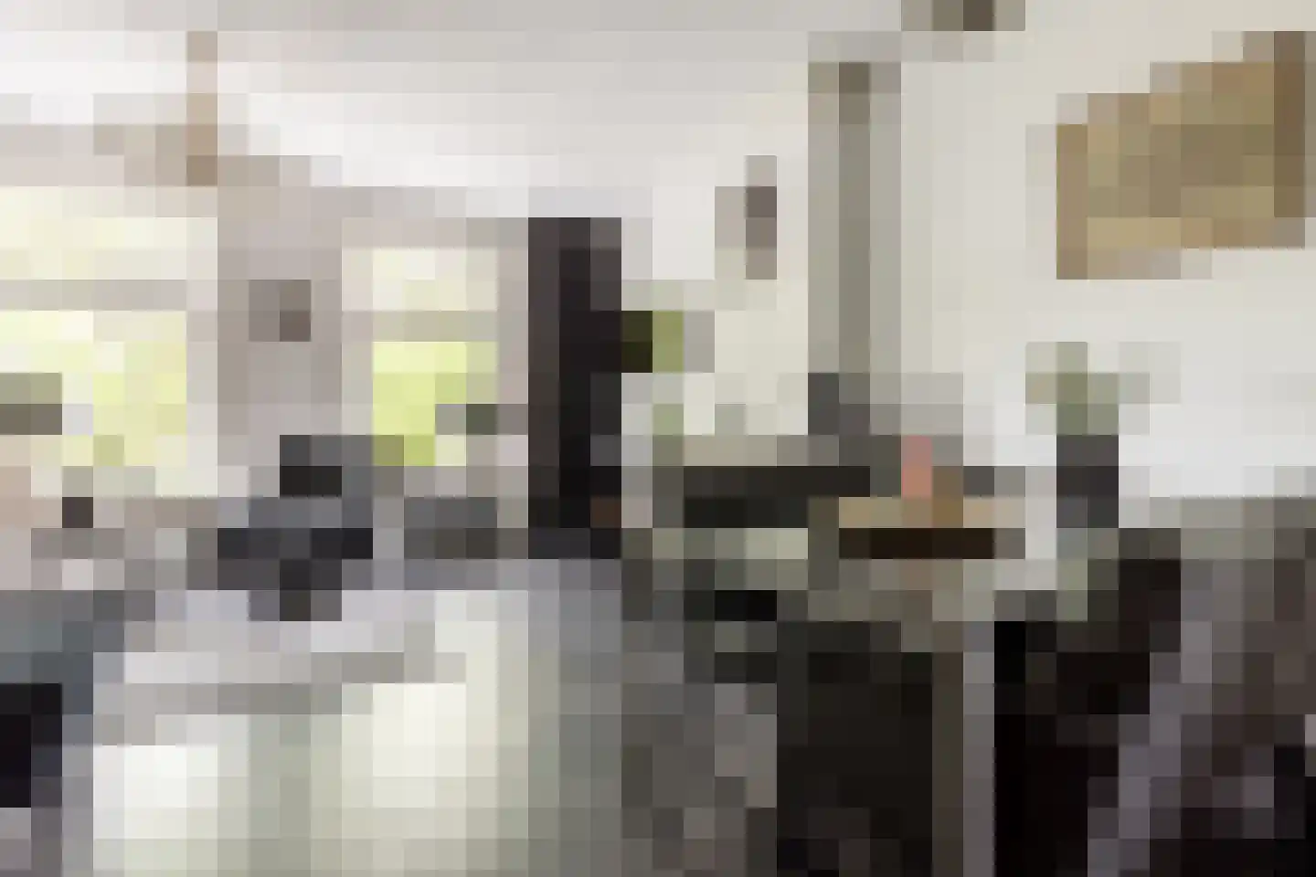 Garenkokerskade 3 Haarlem thumbnail 11