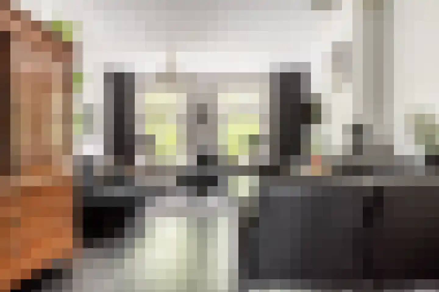 Garenkokerskade 3 Haarlem thumbnail 12