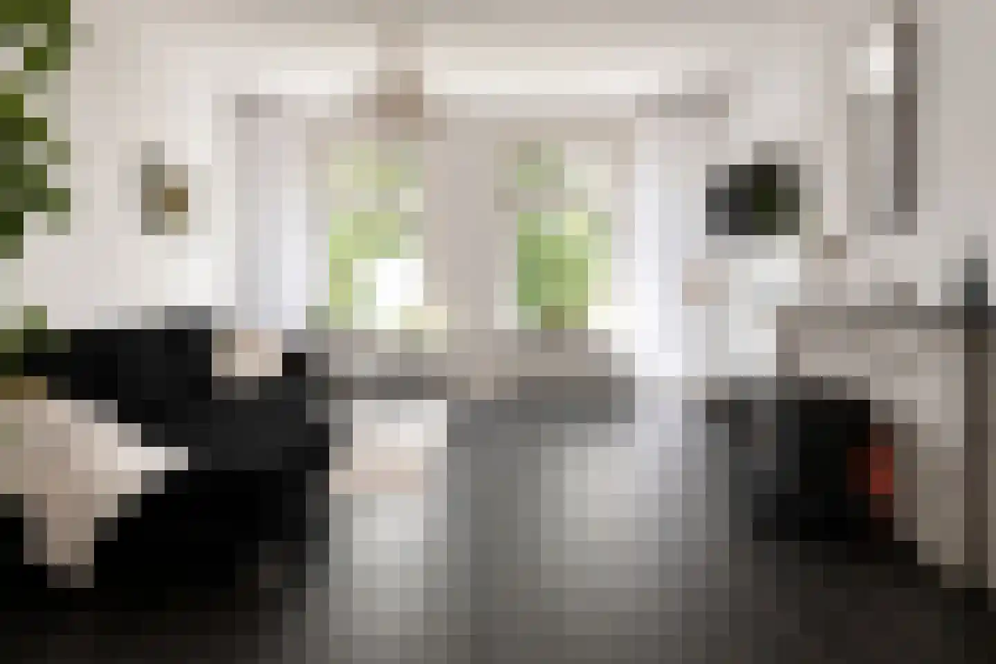 Garenkokerskade 3 Haarlem thumbnail 13