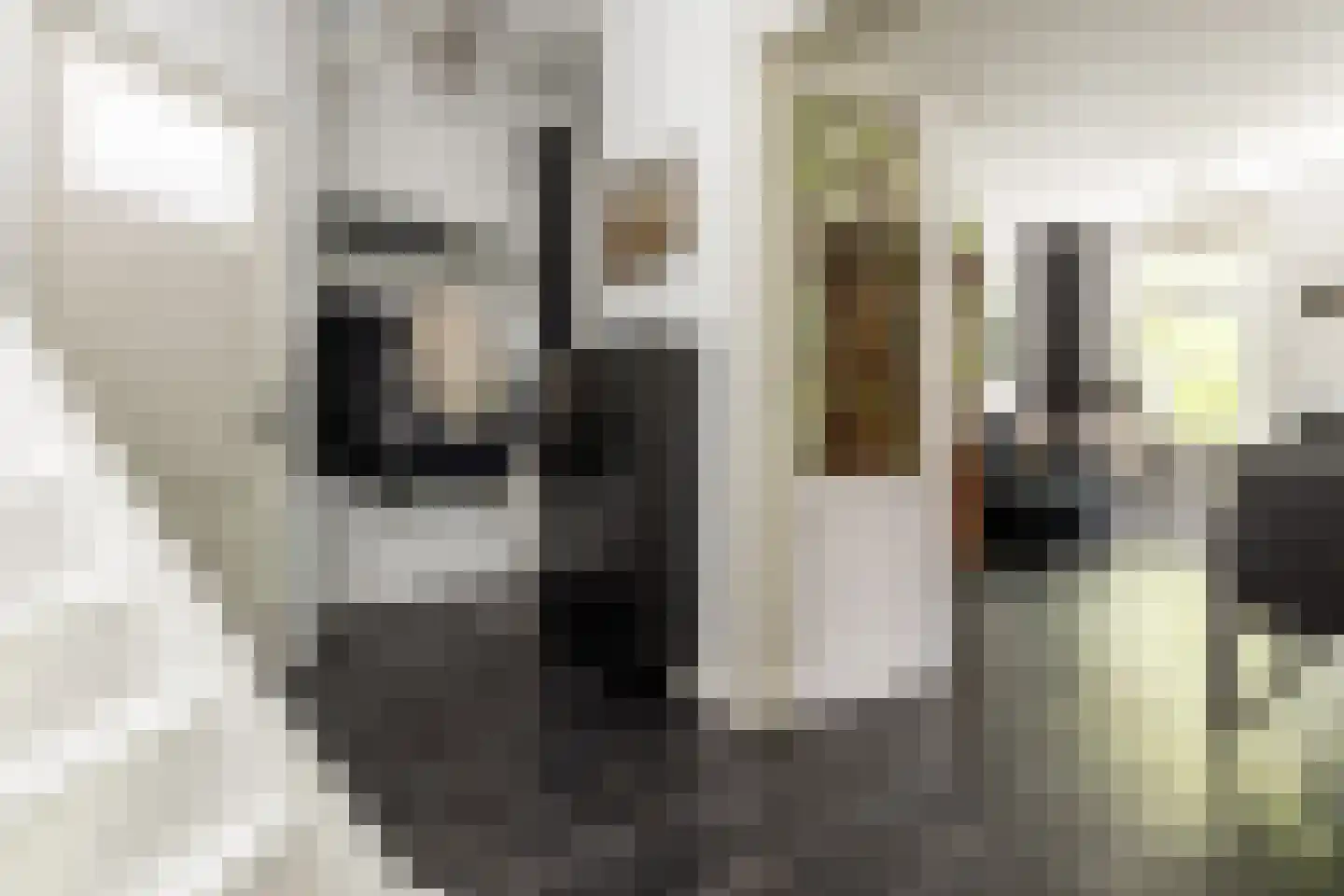 Garenkokerskade 3 Haarlem thumbnail 14