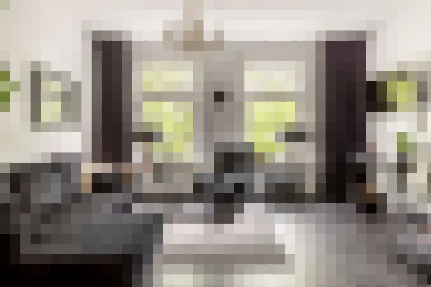 Garenkokerskade 3 Haarlem thumbnail 14