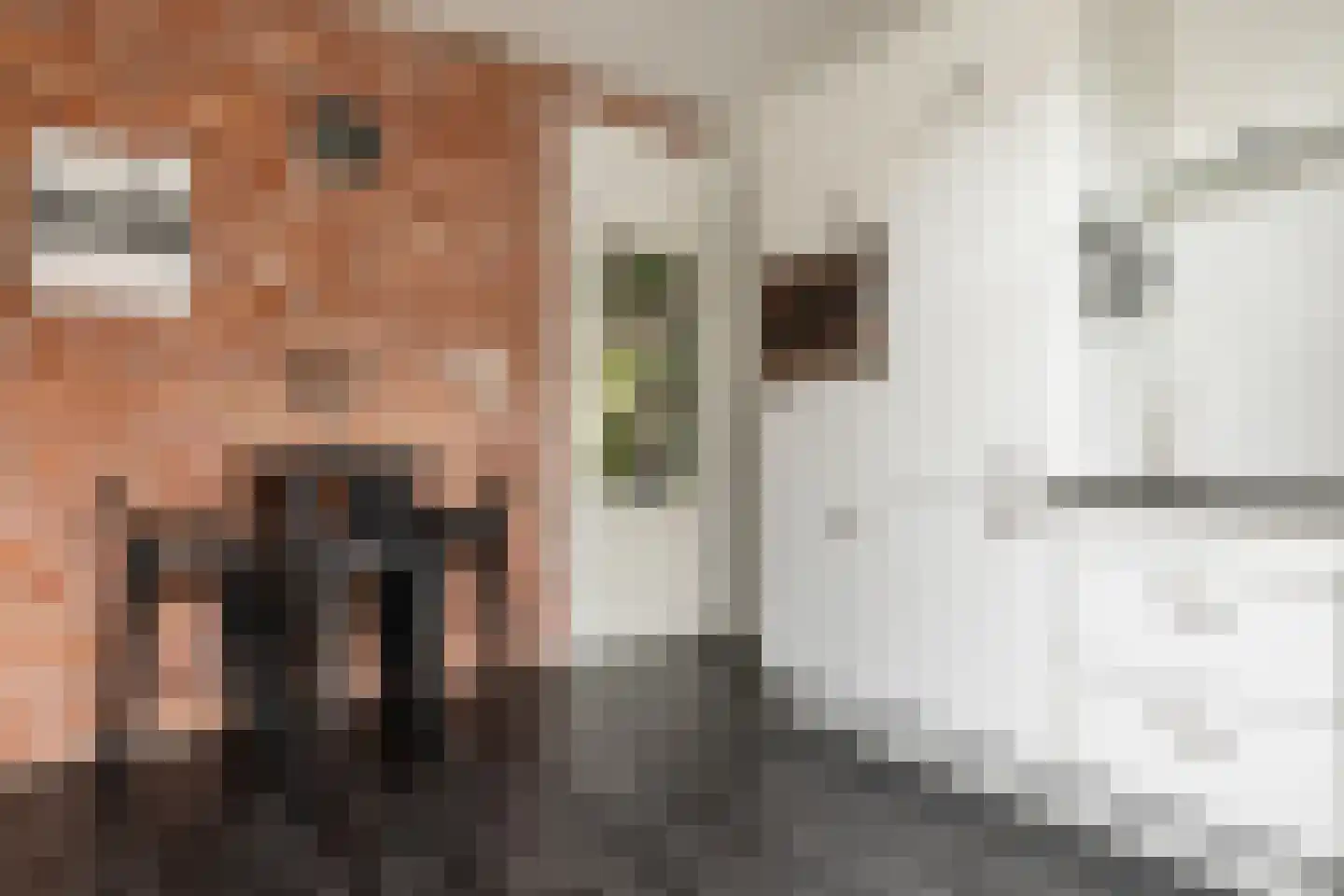 Garenkokerskade 3 Haarlem thumbnail 18