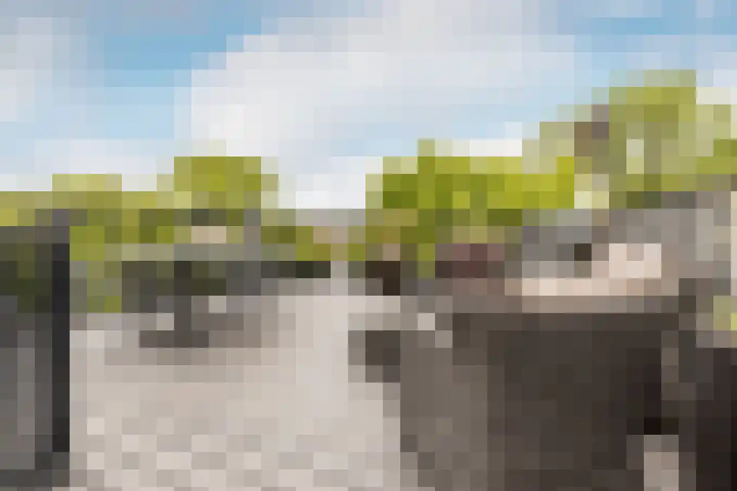 Garenkokerskade 3 Haarlem thumbnail 31