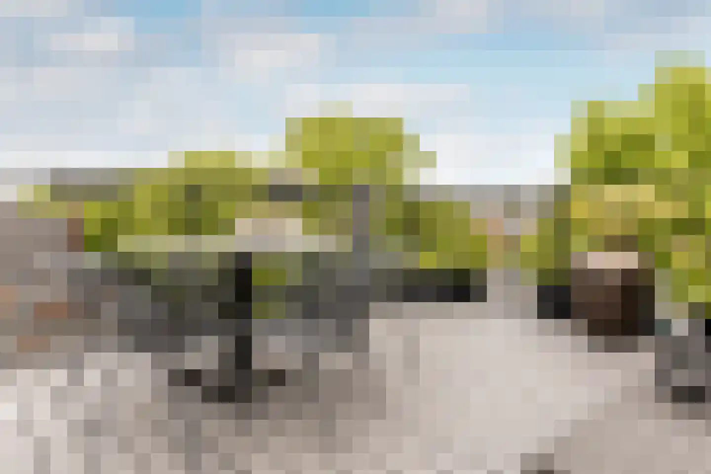 Garenkokerskade 3 Haarlem thumbnail 32