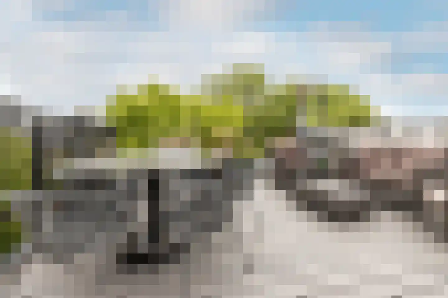 Garenkokerskade 3 Haarlem thumbnail 33
