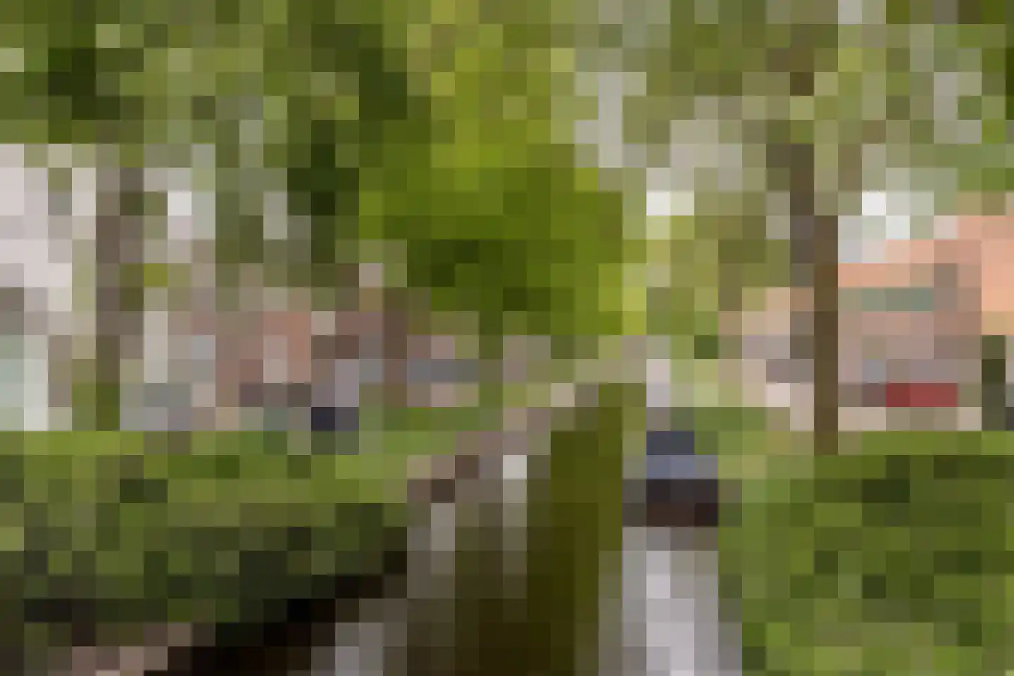 Garenkokerskade 3 Haarlem thumbnail 34