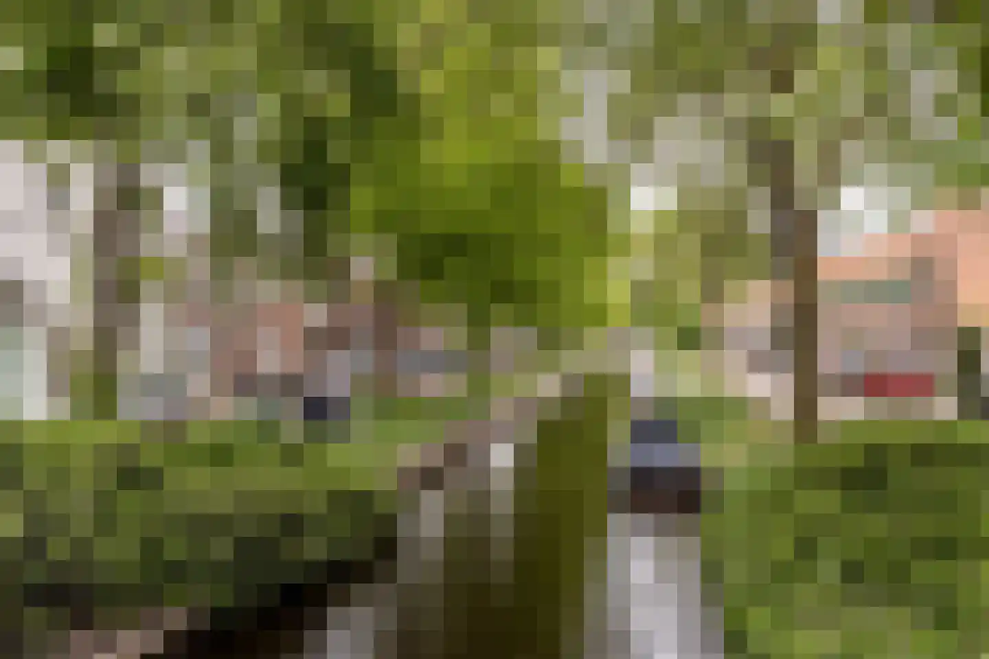 Garenkokerskade 3 Haarlem thumbnail 34
