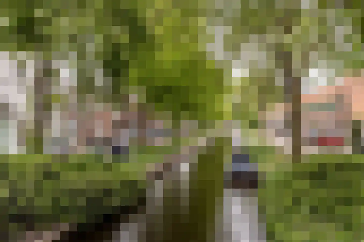 Garenkokerskade 3 Haarlem thumbnail 35