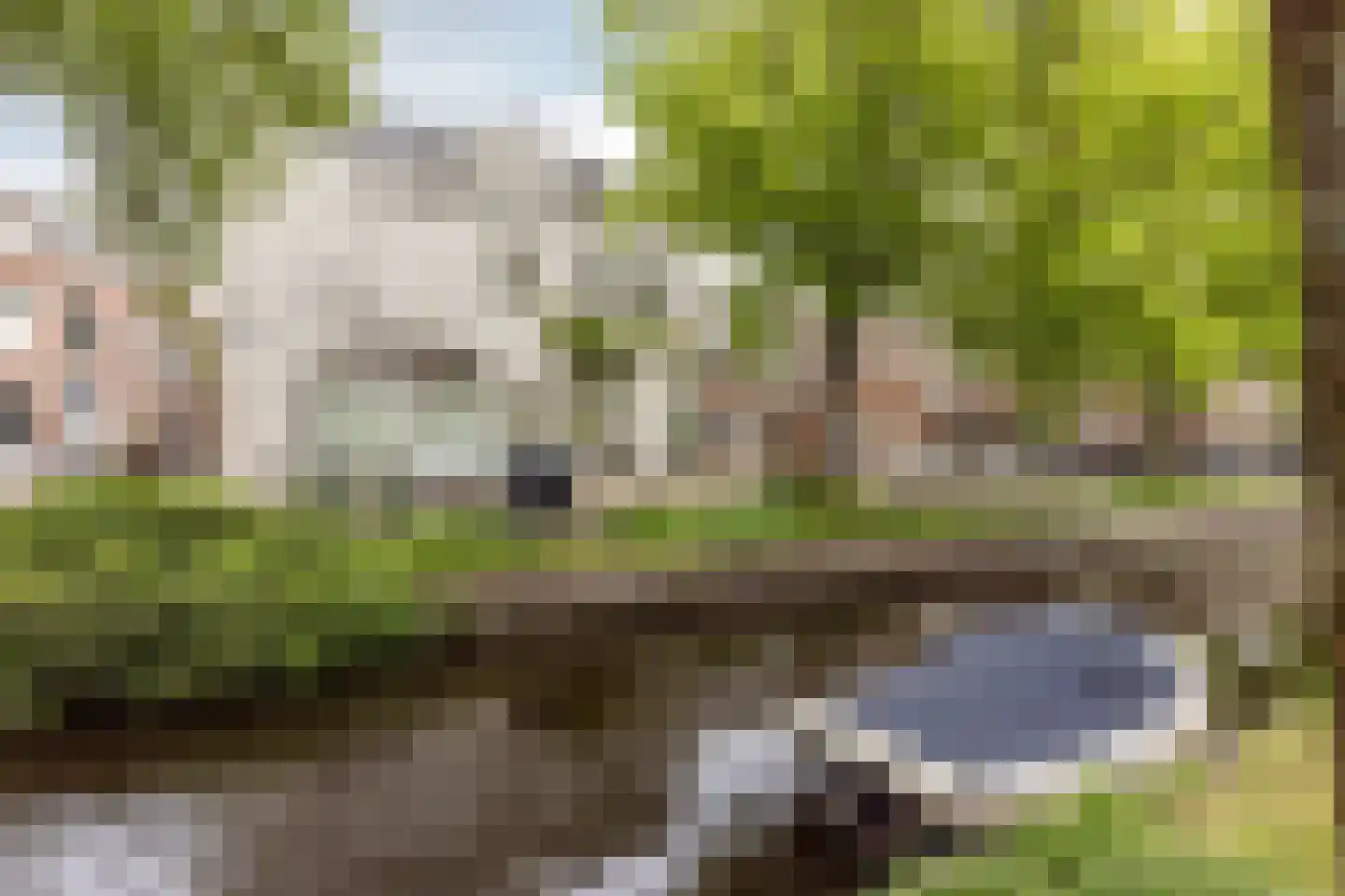 Garenkokerskade 3 Haarlem thumbnail 36