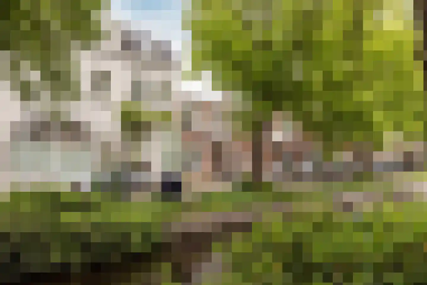 Garenkokerskade 3 Haarlem thumbnail 5