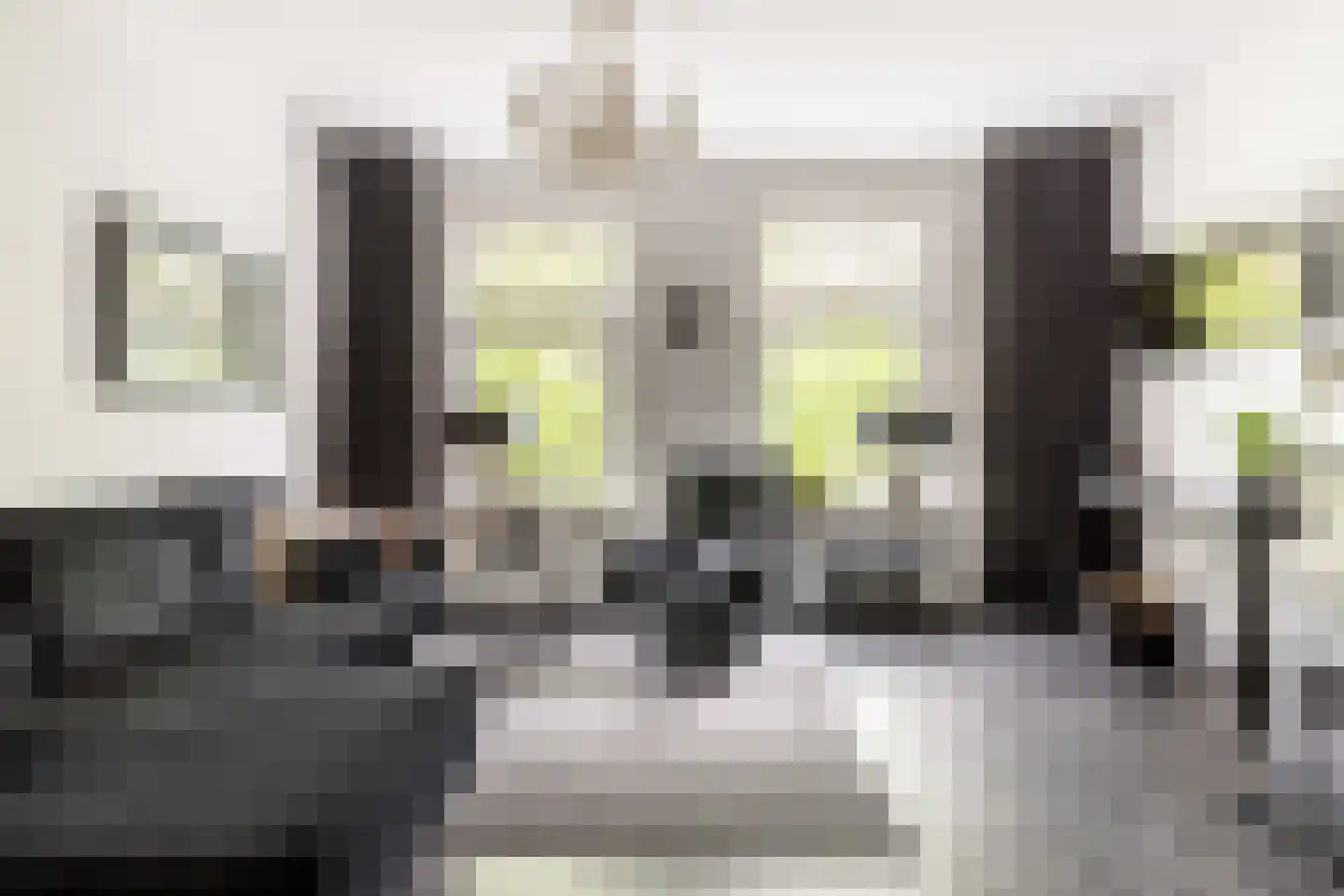 Garenkokerskade 3 Haarlem thumbnail 6